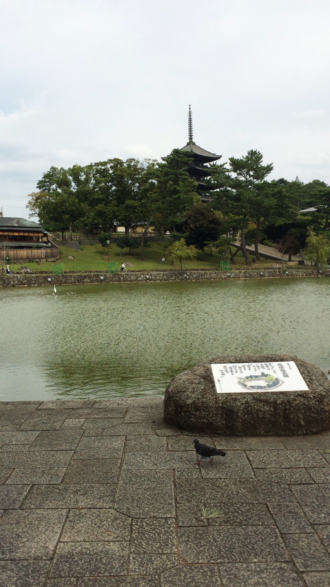 猿沢池